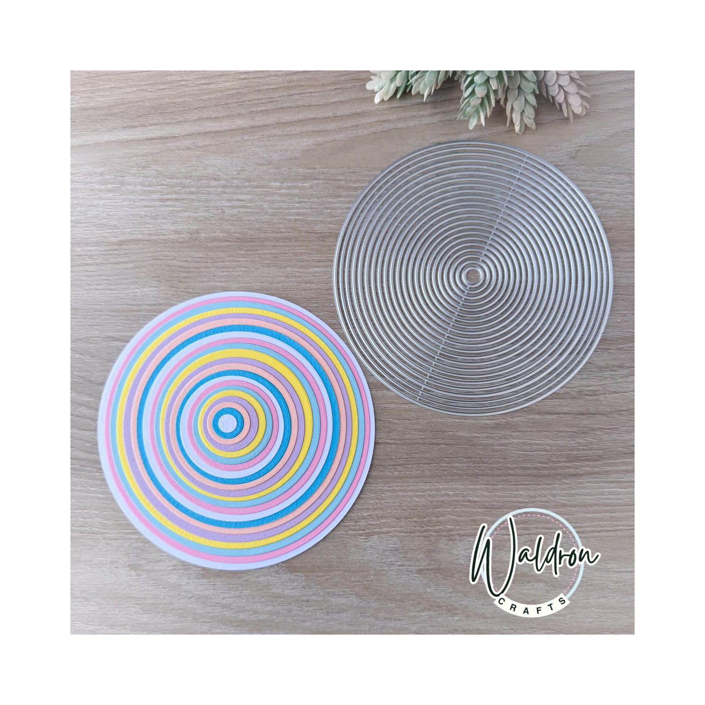 Troquel Círculos Básicos Set x 22